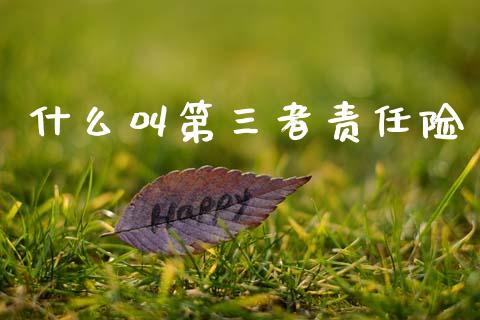 什么叫第三者责任险_https://m.15771688.com_期货手续费_第1张