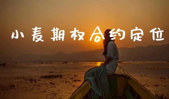 小麦期权合约定位_https://m.15771688.com_期货手续费_第1张
