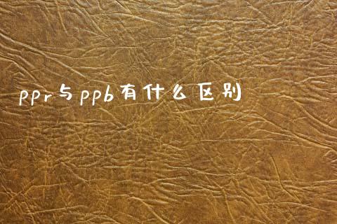 ppr与ppb有什么区别_https://m.15771688.com_道指实时行情_第1张