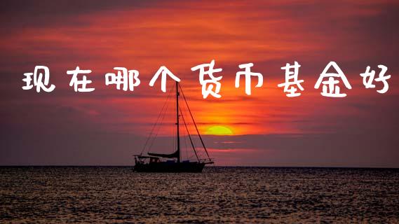 现在哪个货币基金好_https://m.15771688.com_道指实时行情_第1张
