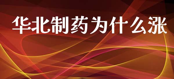 华北制药为什么涨_https://m.15771688.com_美国道指_第1张