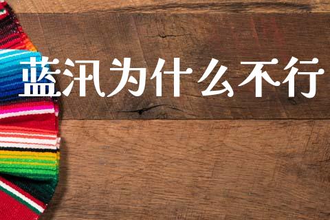蓝汛为什么不行_https://m.15771688.com_期货手续费_第1张