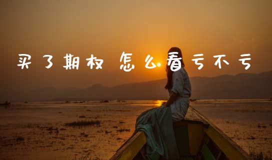 买了期权 怎么看亏不亏_https://m.15771688.com_美国道指_第1张