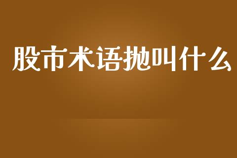 股市术语抛叫什么_https://m.15771688.com_期货开户_第1张