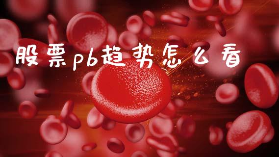 股票pb趋势怎么看_https://m.15771688.com_道指实时行情_第1张