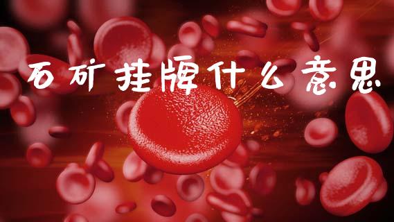 石矿挂牌什么意思_美国道指_第1张_期货开户_期货手续费_道指实时行情_美国道指 石矿挂牌什么意思_https://m.15771688.com_美国道指_第1张