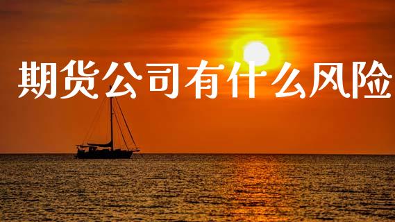 期货公司有什么风险_https://m.15771688.com_美国道指_第1张