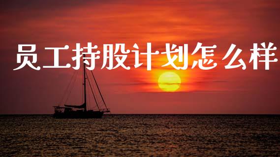 员工持股计划怎么样_https://m.15771688.com_期货手续费_第1张