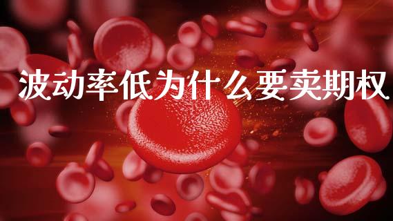 波动率低为什么要卖期权_https://m.15771688.com_期货手续费_第1张