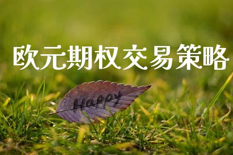 欧元期权交易策略_https://m.15771688.com_期货开户_第1张