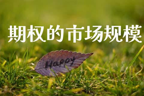 期权的市场规模_https://m.15771688.com_期货手续费_第1张
