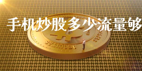 手机炒股多少流量够_https://m.15771688.com_期货开户_第1张