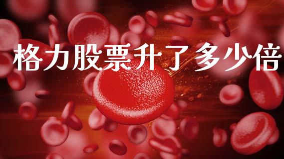 格力股票升了多少倍_https://m.15771688.com_美国道指_第1张