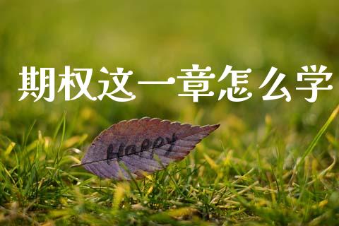 期权这一章怎么学_https://m.15771688.com_期货开户_第1张