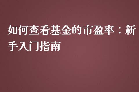 如何查看基金的市盈率：新手入门指南_https://m.15771688.com_期货手续费_第1张