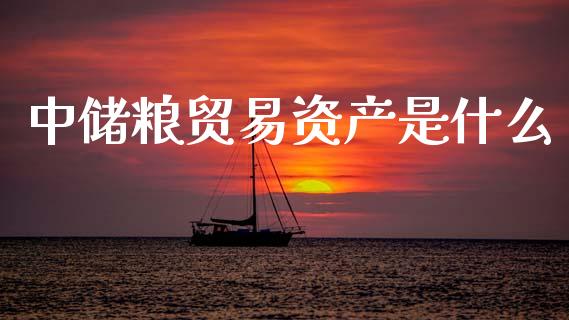 中储粮贸易资产是什么_https://m.15771688.com_道指实时行情_第1张