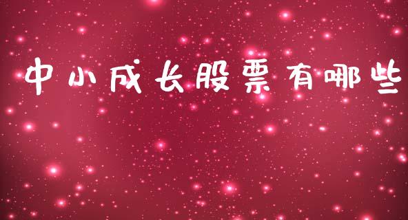 中小成长股票有哪些_https://m.15771688.com_期货手续费_第1张