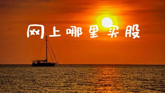 网上哪里买股_https://m.15771688.com_期货手续费_第1张