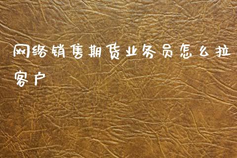 网络销售期货业务员怎么拉客户_https://m.15771688.com_期货手续费_第1张