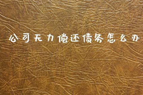 公司无力偿还债务怎么办_https://m.15771688.com_道指实时行情_第1张
