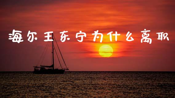海尔王东宁为什么离职_https://m.15771688.com_期货开户_第1张
