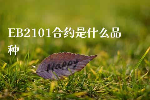 EB2101合约是什么品种_https://m.15771688.com_道指实时行情_第1张