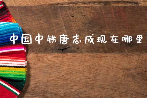 中国中铁唐志成现在哪里_https://m.15771688.com_期货开户_第1张
