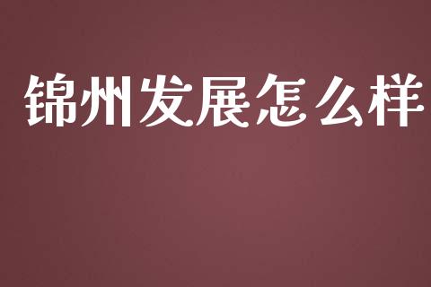 锦州发展怎么样_https://m.15771688.com_道指实时行情_第1张