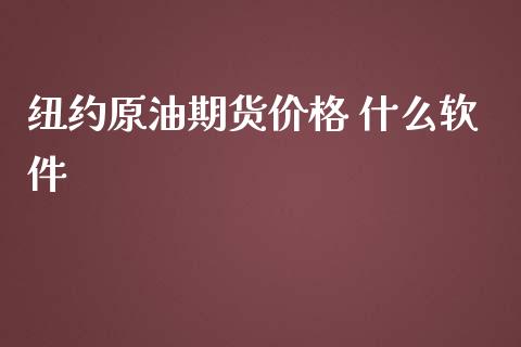 纽约原油期货价格 什么软件_https://m.15771688.com_期货手续费_第1张