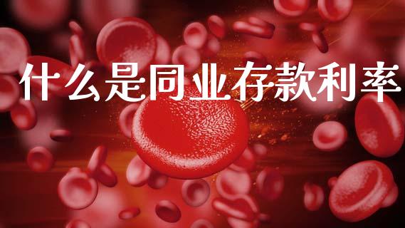 什么是同业存款利率_https://m.15771688.com_期货开户_第1张