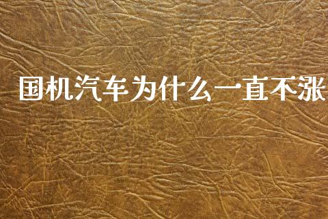 国机汽车为什么一直不涨_https://m.15771688.com_期货开户_第1张