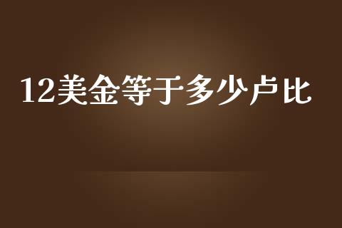 12美金等于多少卢比_https://m.15771688.com_期货手续费_第1张