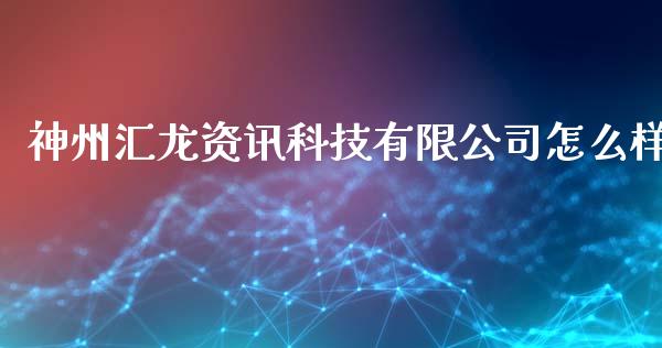 神州汇龙资讯科技有限公司怎么样_https://m.15771688.com_期货手续费_第1张