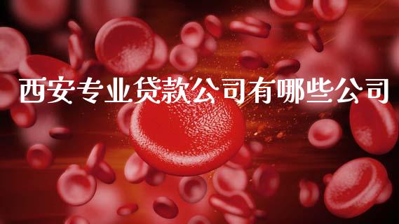西安专业贷款公司有哪些公司_https://m.15771688.com_期货手续费_第1张
