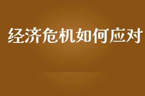 经济危机如何应对_https://m.15771688.com_期货手续费_第1张