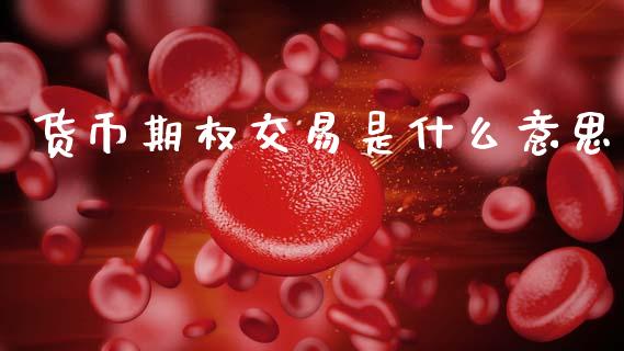 货币期权交易是什么意思_https://m.15771688.com_期货手续费_第1张