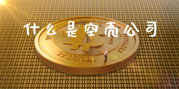 什么是空壳公司_https://m.15771688.com_美国道指_第1张