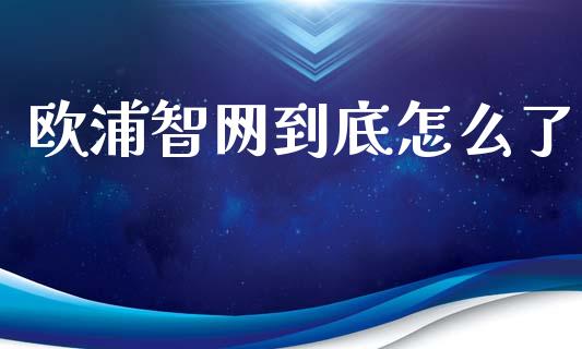 欧浦智网到底怎么了_https://m.15771688.com_期货开户_第1张