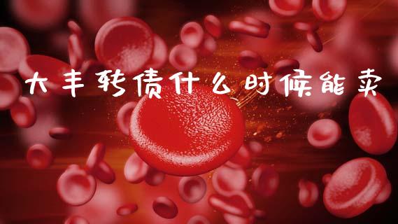 大丰转债什么时候能卖_https://m.15771688.com_期货手续费_第1张