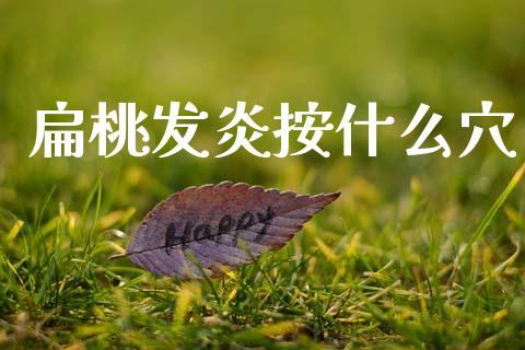 扁桃发炎按什么穴_https://m.15771688.com_道指实时行情_第1张