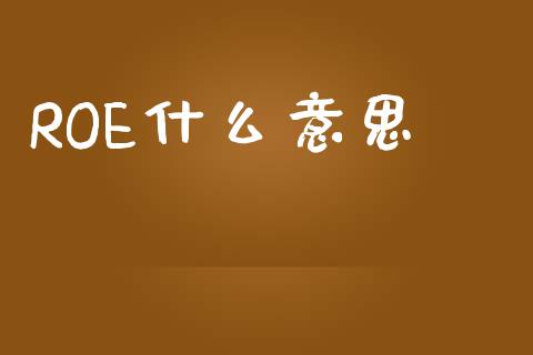 ROE什么意思_https://m.15771688.com_期货手续费_第1张