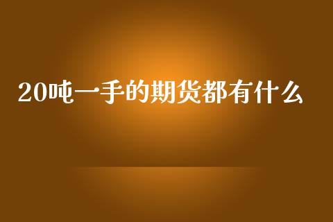 20吨一手的期货都有什么_https://m.15771688.com_期货手续费_第1张