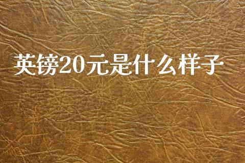 英镑20元是什么样子_https://m.15771688.com_道指实时行情_第1张