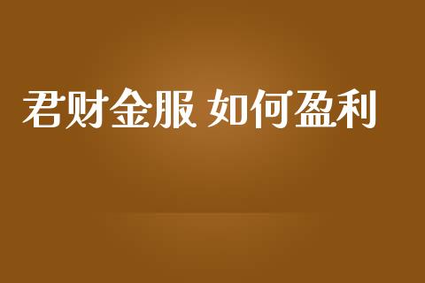 君财金服 如何盈利_https://m.15771688.com_期货手续费_第1张