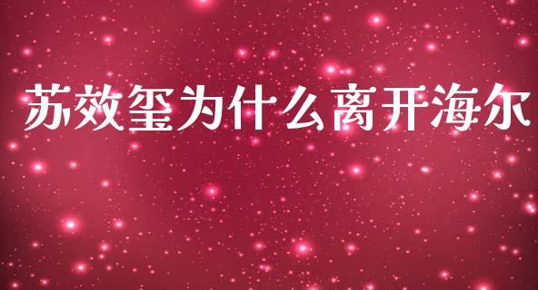 苏效玺为什么离开海尔_https://m.15771688.com_期货手续费_第1张