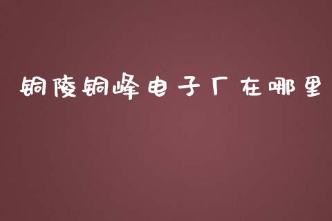 铜陵铜峰电子厂在哪里_https://m.15771688.com_期货手续费_第1张
