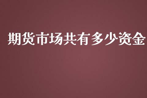 期货市场共有多少资金_https://m.15771688.com_期货开户_第1张