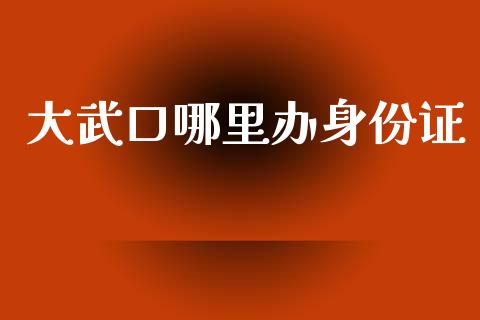 大武口哪里办身份证_https://m.15771688.com_美国道指_第1张