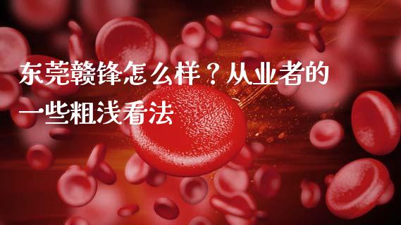 东莞赣锋怎么样？从业者的一些粗浅看法_https://m.15771688.com_期货开户_第1张