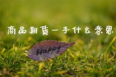商品期货一手什么意思_https://m.15771688.com_美国道指_第1张